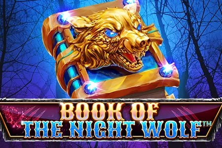 Book Of The Night Wolf